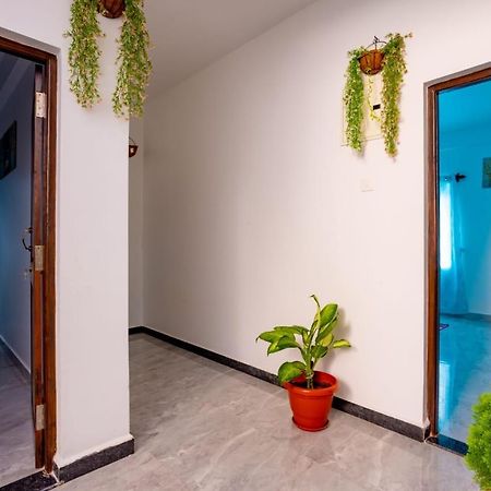 Goan Fiesta Studio Calangute Goa Vila Exterior foto